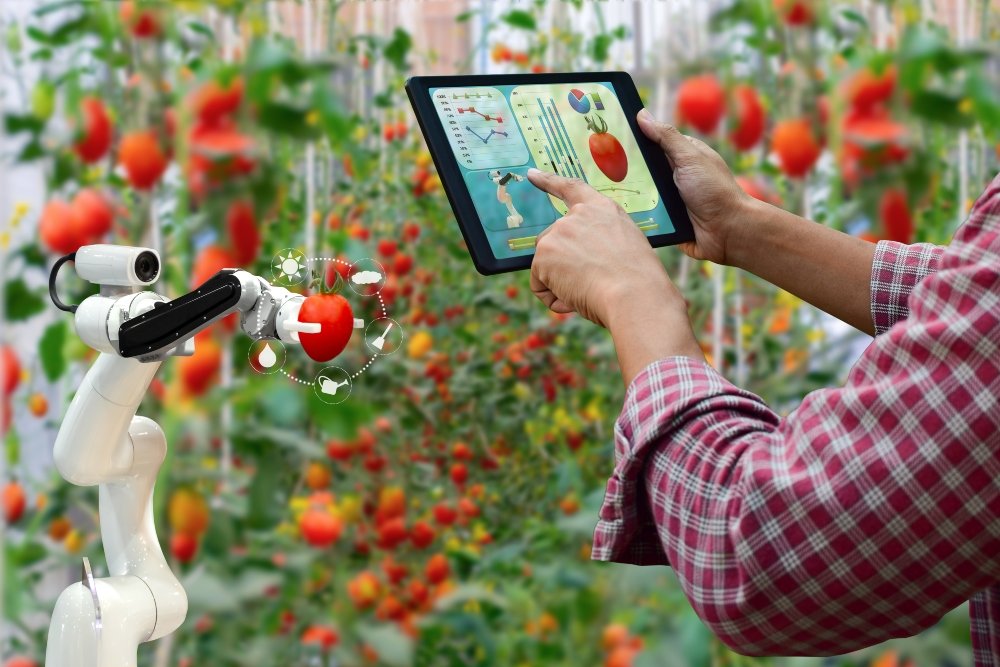Οι ντομάτες μπορούν να οδηγήσουν σε μια διατροφική επανάσταση – Γιατί είναι χρήσιμες για τους επιστήμονες