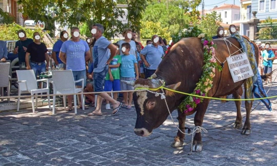 Κάθε ελληνικό νησί και μια ξεφτίλα