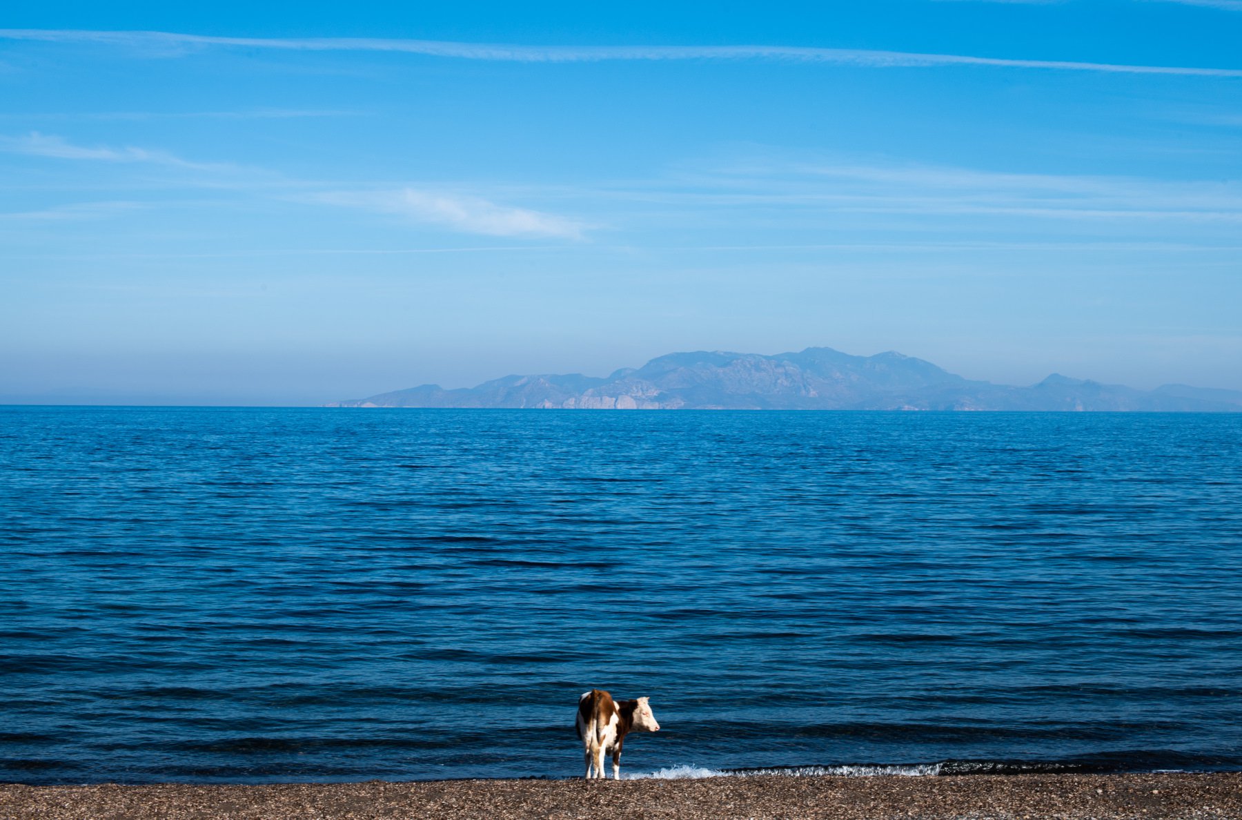 νησιά