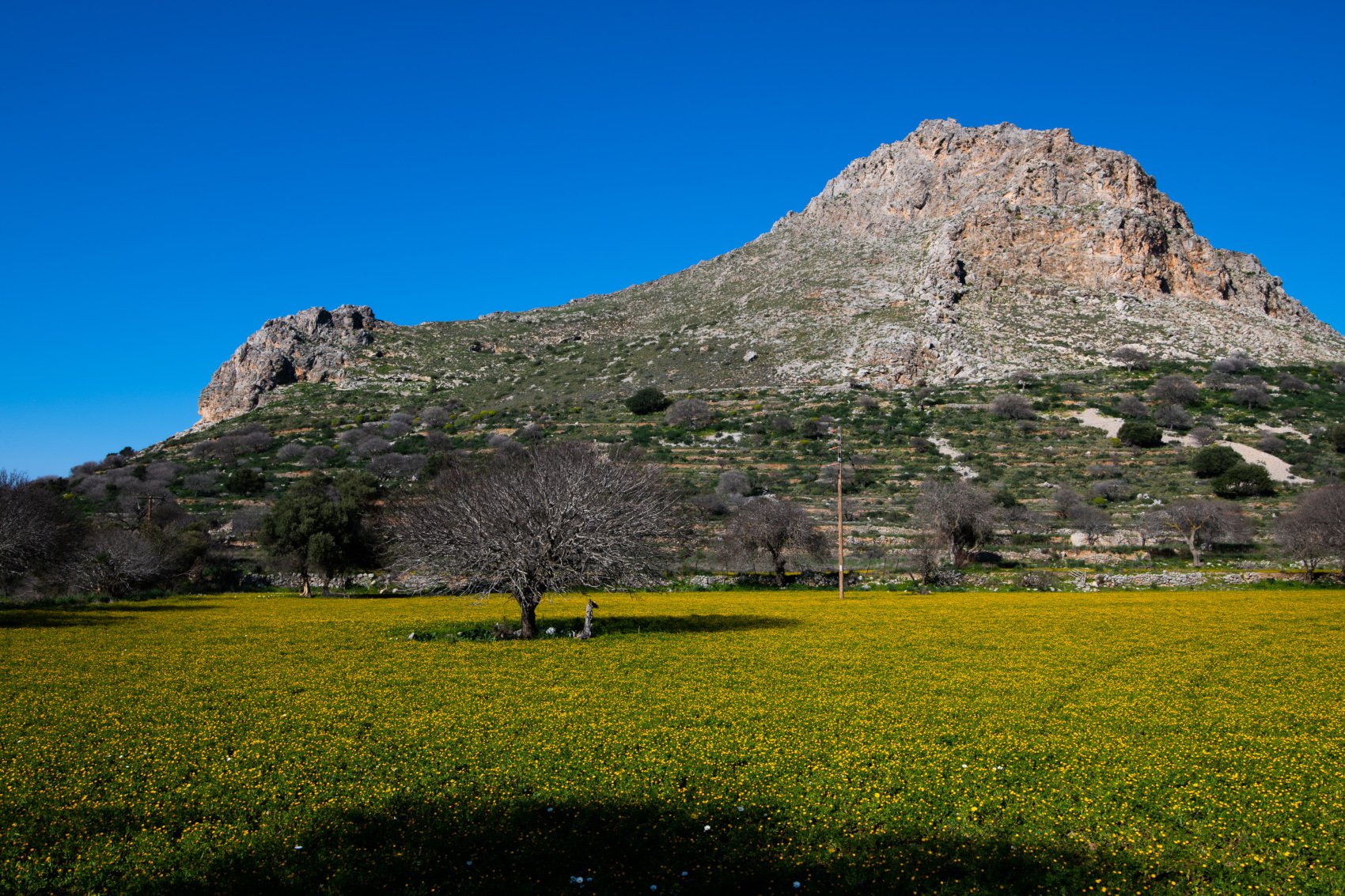 νησιά