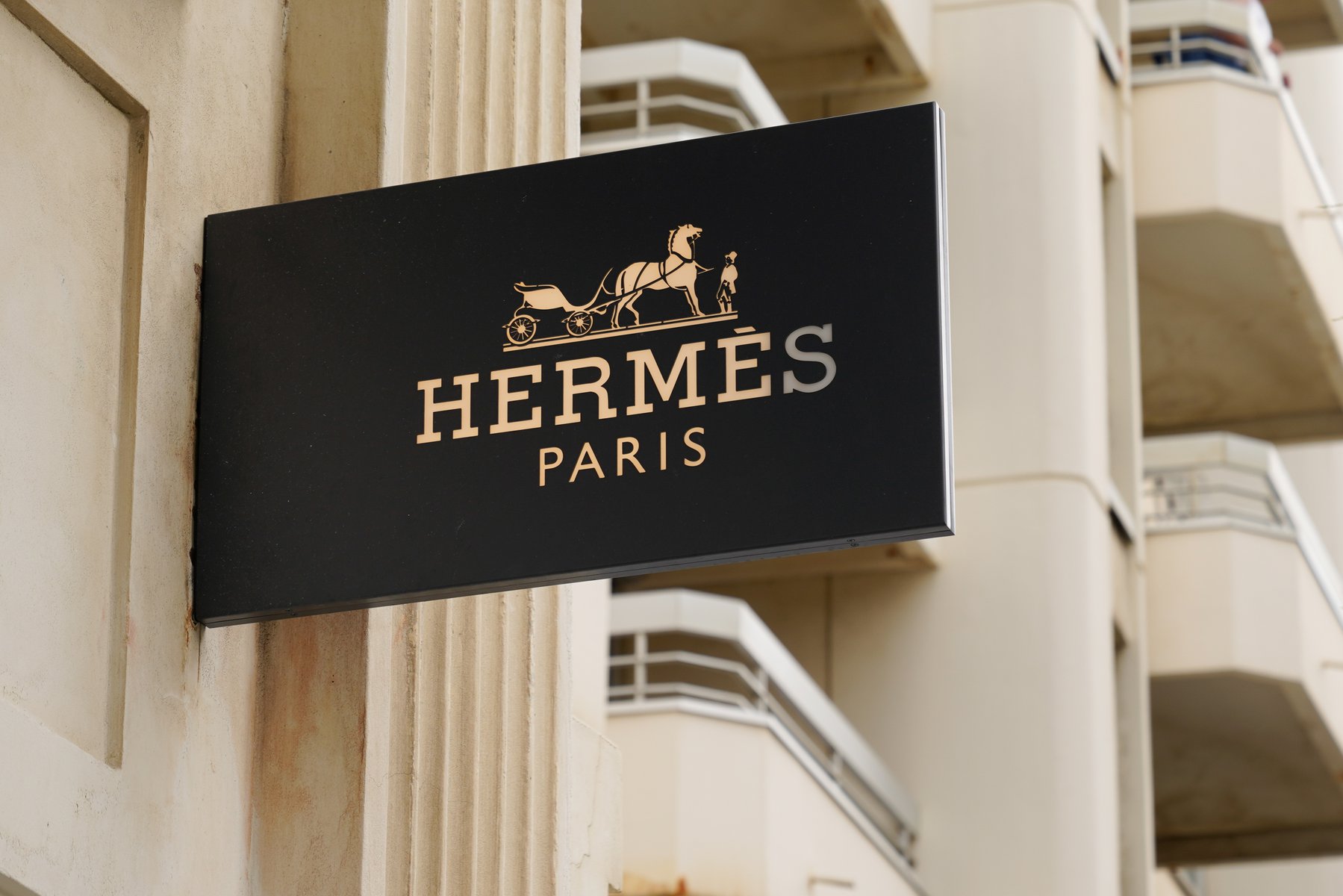 Κλοπή ή τέχνη; Ο οίκος Hermès στα δικαστήρια για τα MetaBirkins