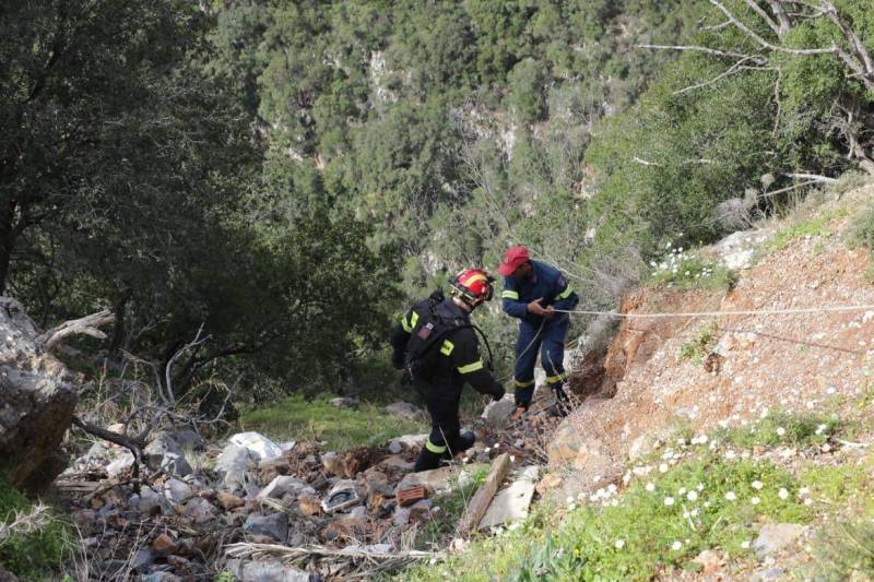 ζευγάρι των Αμερικανών