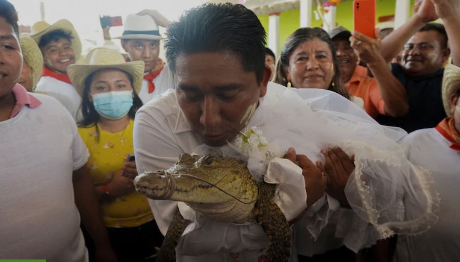 Μεξικό: Δήμαρχος παντρεύτηκε… αλιγάτορα για να τιμήσει την παράδοση