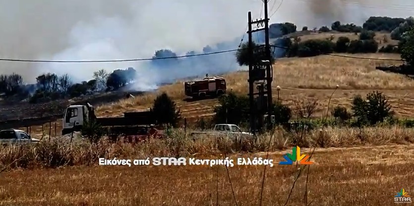 Φωτιά στη Βοιωτία: Καίγεται το δάσος στο Καπαρέλι