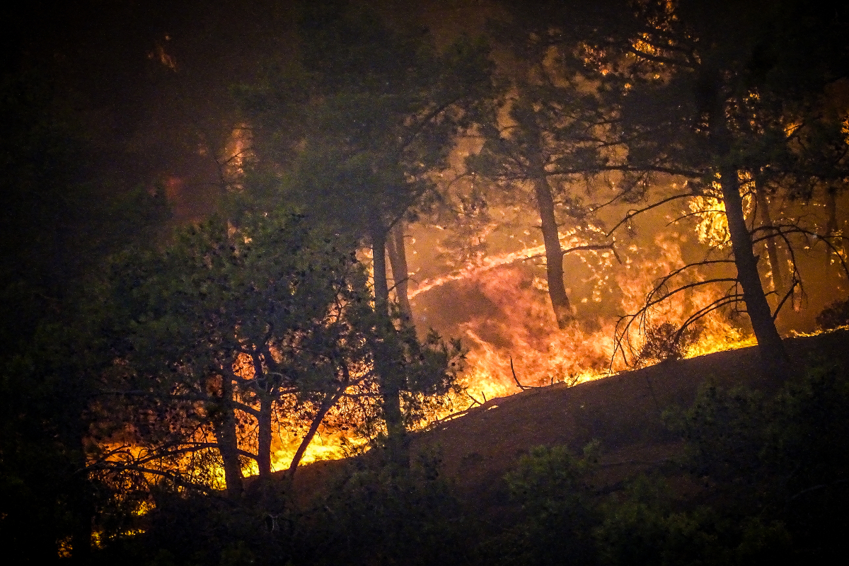 Ο πλανήτης στο έλεος των πυρκαγιών – Χρονιά με φονικές και καταστροφικές φωτιές το 2023