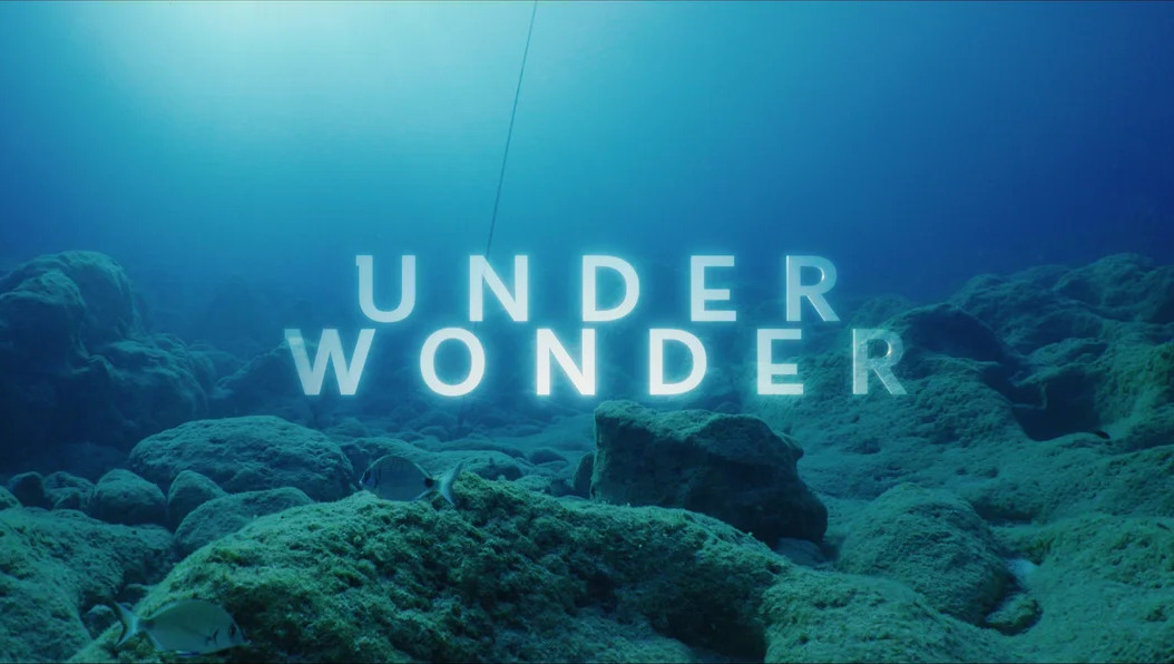UNDERWONDER: Πώς σκηνοθετεί κάποιος ένα ντοκιμαντέρ σε υποθαλάσσιες σπηλιές; – Οι κίνδυνοι που υπάρχουν και τα τρικ