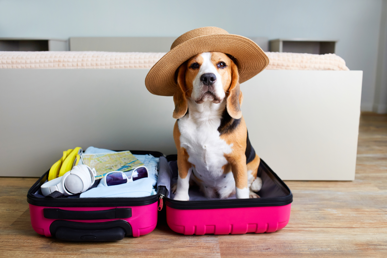Το πρώτο πράγμα που πρέπει να κάνεις στις διακοπές: Γιατί συνιστούν όλοι να βάζεις τη βαλίτσα στη μπανιέρα του δωματίου;