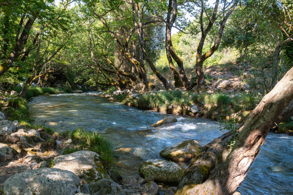 Λες και γεννήθηκαν εκεί νεράιδες και ξωτικά: Σε αυτό το χωριό της Πελοποννήσου θα περάσεις το τριήμερο της 28ης Οκτωβρίου