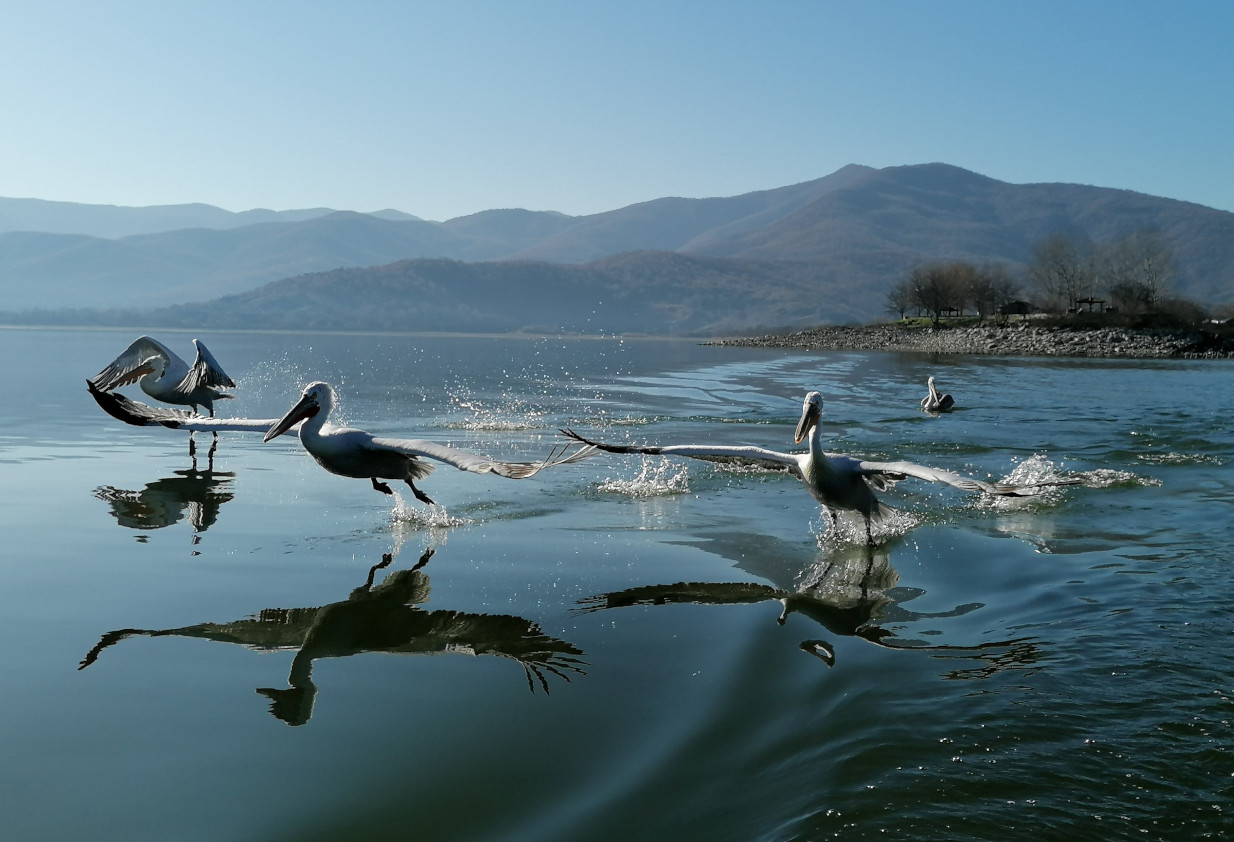 ΔΕΗ: Σημαντικές επιδόσεις καταγράφει η Έκθεση Βιώσιμης Ανάπτυξης