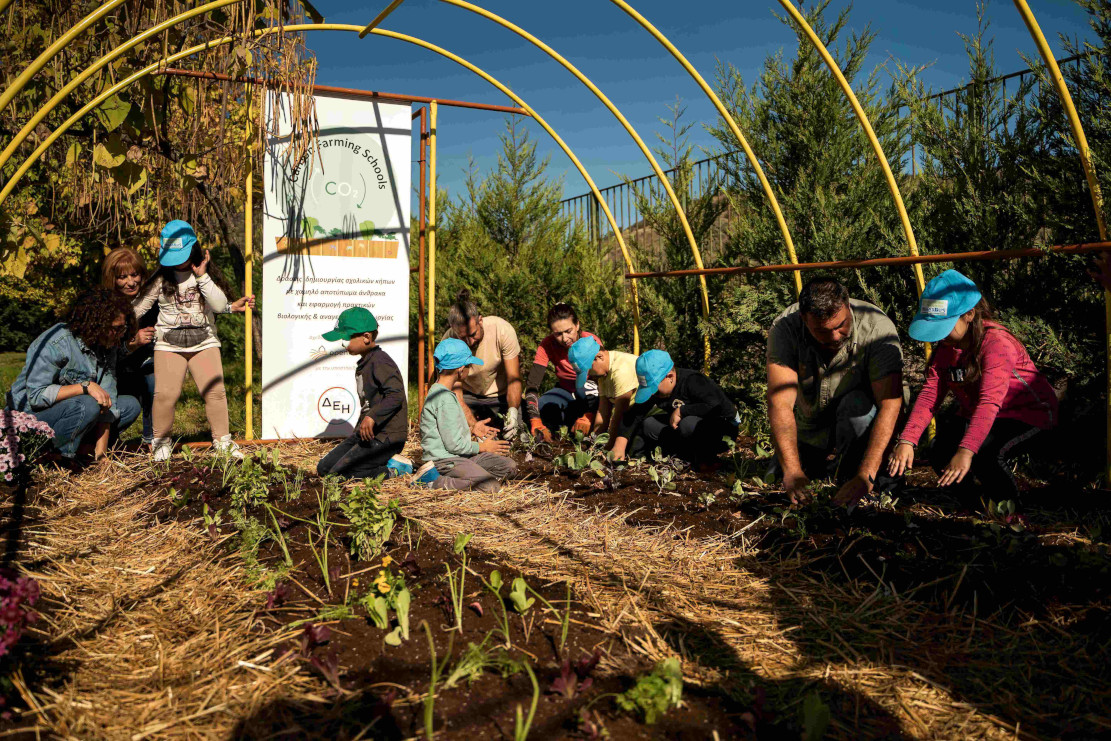 ΔΕΗ και Open Farm προωθούν τη βιώσιμη γεωργία στους μαθητές μέσω του “Carbon Farming Schools”